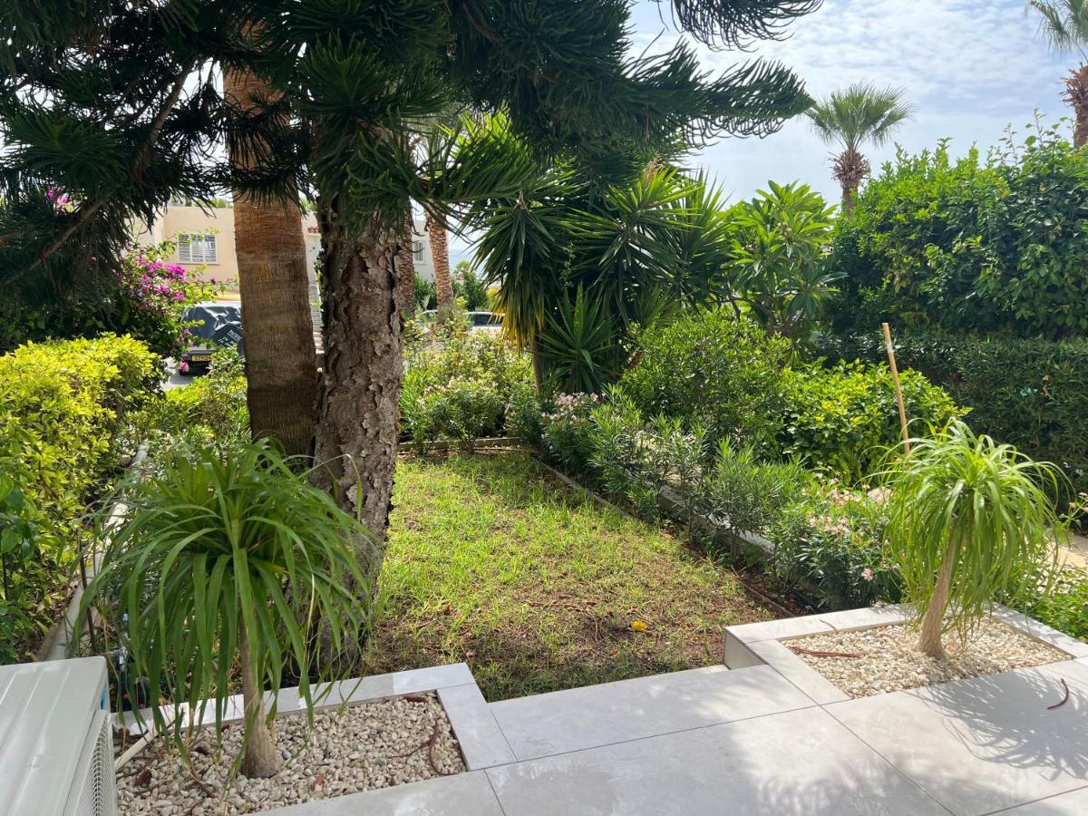 Appartamento Modern Seaview Townhouse In Coral Bay (Adults Only) Peyia Esterno foto