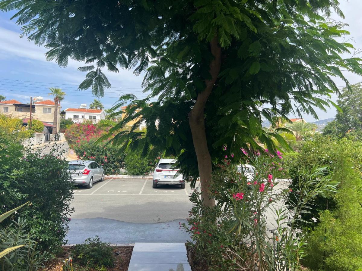 Appartamento Modern Seaview Townhouse In Coral Bay (Adults Only) Peyia Esterno foto