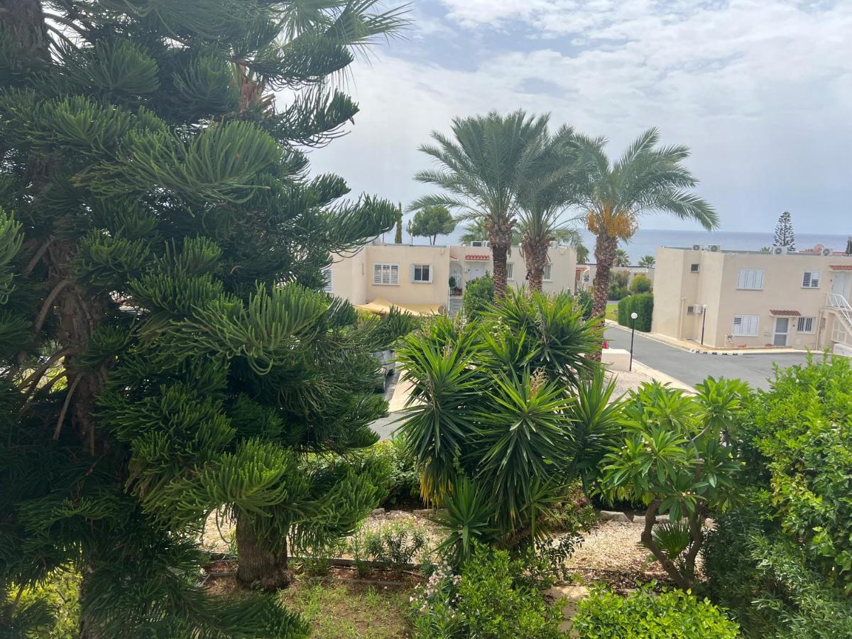 Appartamento Modern Seaview Townhouse In Coral Bay (Adults Only) Peyia Esterno foto