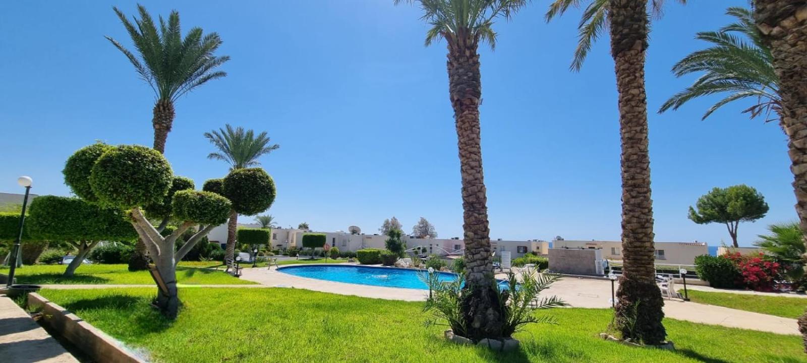 Appartamento Modern Seaview Townhouse In Coral Bay (Adults Only) Peyia Esterno foto