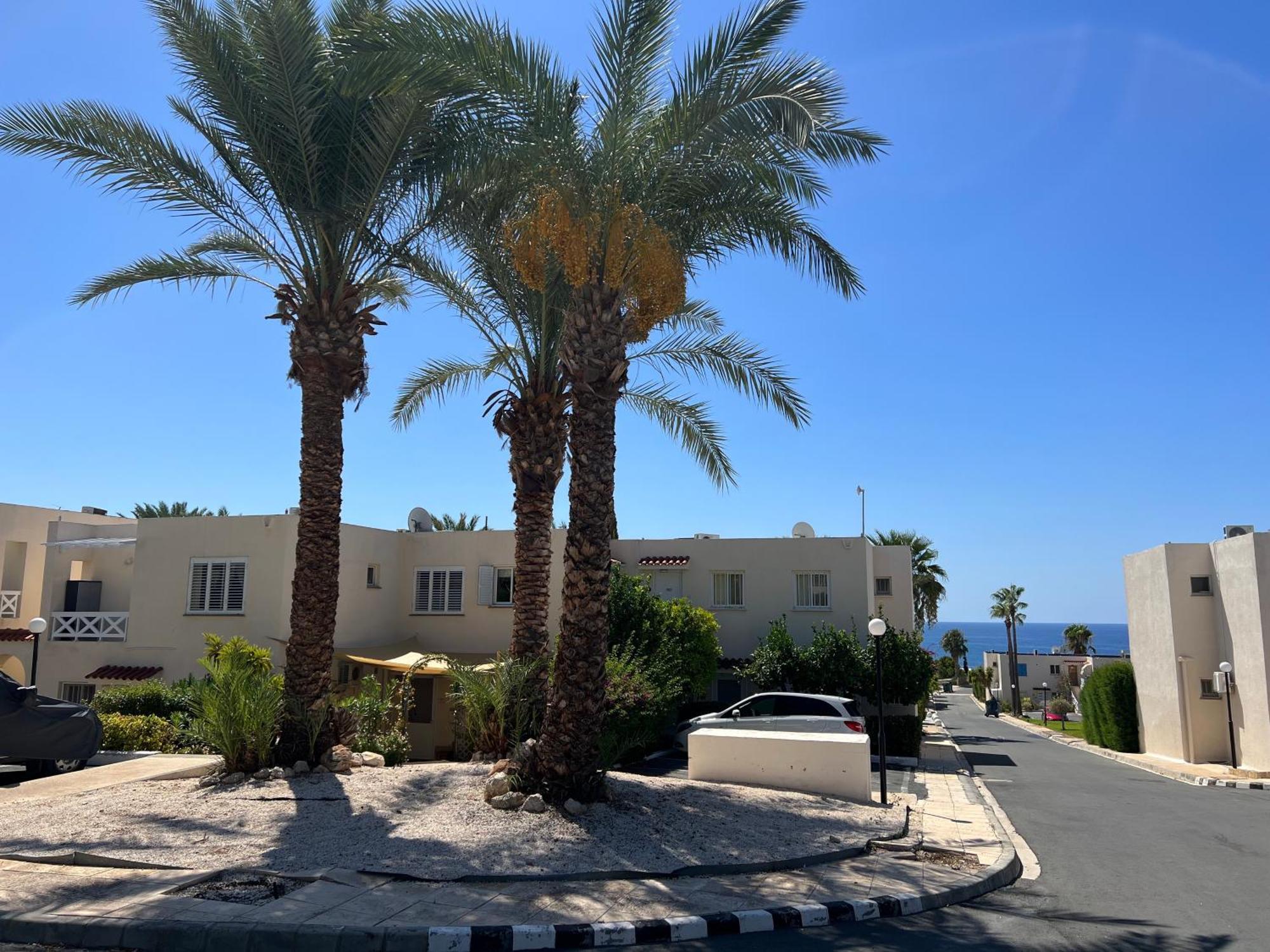 Appartamento Modern Seaview Townhouse In Coral Bay (Adults Only) Peyia Esterno foto