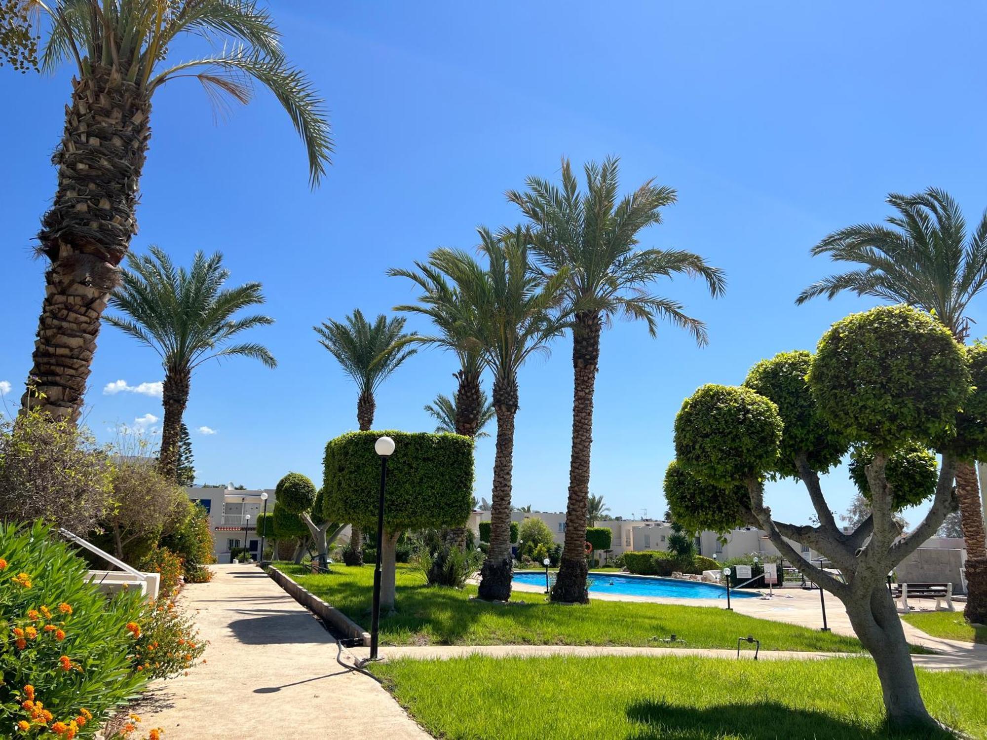 Appartamento Modern Seaview Townhouse In Coral Bay (Adults Only) Peyia Esterno foto
